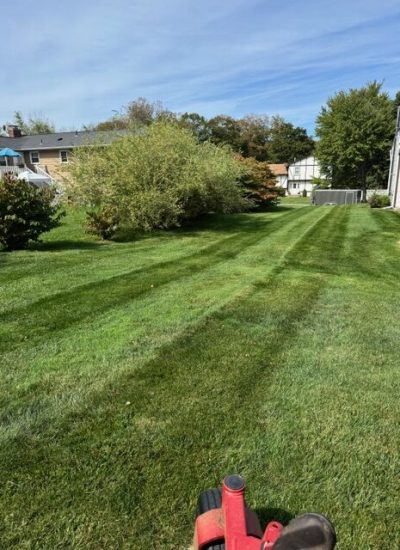 JPEG2-lawn