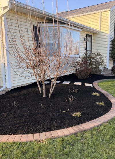 JPG3-mulch