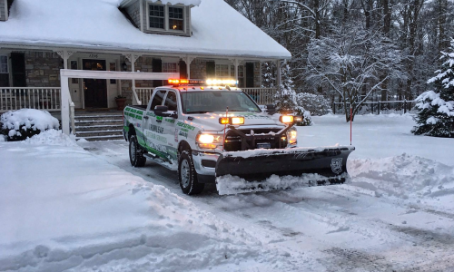 snow-removal-tree-removal